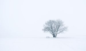 13_winter