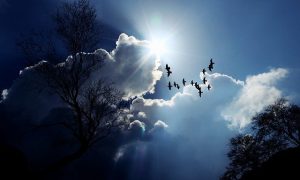 Blog_drama-driehoek