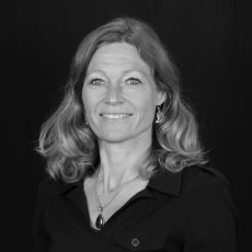 Effectieve goede coach, systemisch coach